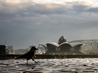 A bird walks on Caspian Sea Boulevard in Baku in front of landmark architecture, Azerbaijan on November 9, 2024. (