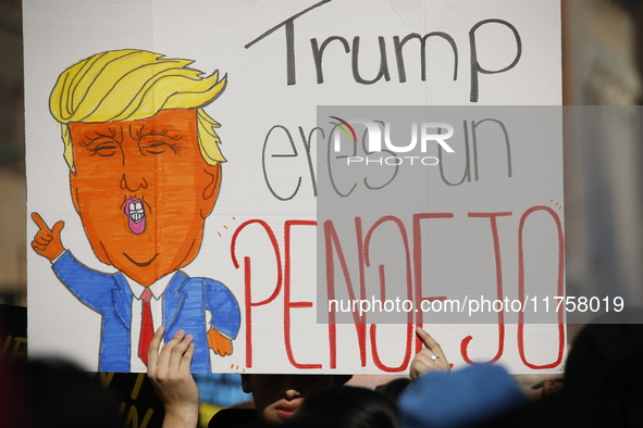 A general view shows protesters in front of the eminent immigration reform changes in Manhattan, NY, on November 9, 2024. The New York Immig...