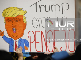 A general view shows protesters in front of the eminent immigration reform changes in Manhattan, NY, on November 9, 2024. The New York Immig...