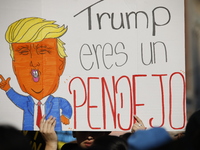 A general view shows protesters in front of the eminent immigration reform changes in Manhattan, NY, on November 9, 2024. The New York Immig...