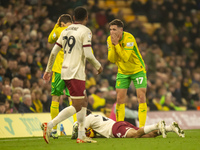 Ante Crnac of Norwich City reacts to a decision by the match official during the Sky Bet Championship match between Norwich City and Bristol...