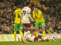 Ante Crnac of Norwich City reacts to a decision by the match official during the Sky Bet Championship match between Norwich City and Bristol...