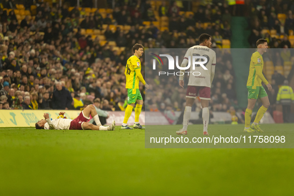 Ante Crnac of Norwich City and Christian Fassnacht of Norwich City walk away from a decision by the match official during the Sky Bet Champi...