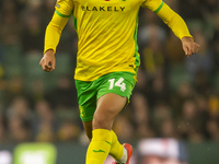 Ben Chrisene of Norwich City is on the ball during the Sky Bet Championship match between Norwich City and Bristol City at Carrow Road in No...