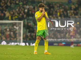 Emiliano Marcondes of Norwich City reacts after a free kick during the Sky Bet Championship match between Norwich City and Bristol City at C...