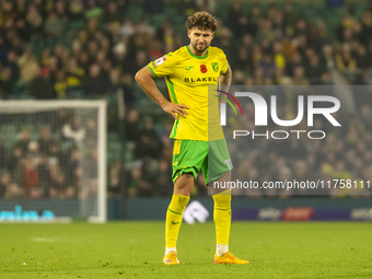 Emiliano Marcondes of Norwich City reacts after a free kick during the Sky Bet Championship match between Norwich City and Bristol City at C...