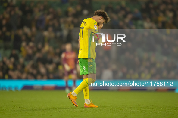 Emiliano Marcondes of Norwich City reacts after a free kick during the Sky Bet Championship match between Norwich City and Bristol City at C...