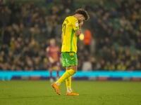 Emiliano Marcondes of Norwich City reacts after a free kick during the Sky Bet Championship match between Norwich City and Bristol City at C...