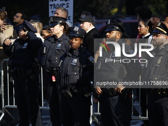 New York police are on high alert during an immigrant protest regarding imminent changes to immigration reforms in Manhattan, NY, on Novembe...