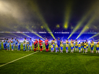 During the match RKC - NEC at the Mandemakers Stadium for the 2024-2025 season in Waalwijk, Netherlands, on November 9, 2024. (