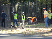 Security officials remove riot fences from around the Vice President's residence in the United States on November 9, 2024. The fences are se...