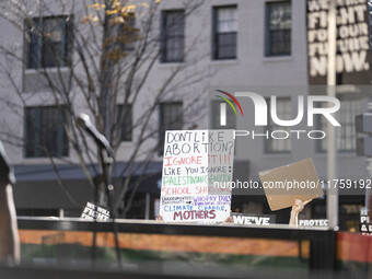 On November 9, 2024, in Washington, D.C., outside the Heritage Foundation, an anti-Project 2025 protest takes place. Hundreds of people gath...