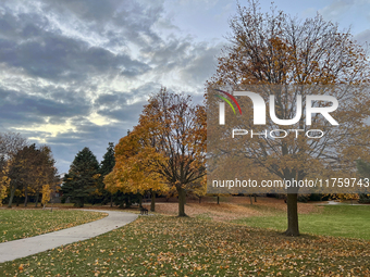 Colorful leaves appear on maple trees during the autumn season in Toronto, Ontario, Canada, on November 6, 2024. (