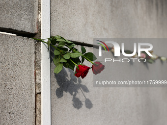 Flowers at Berlin Wall Memorial after the commemoration ceremony marking the 35th anniversary of the fall of the Berlin Wall. Berlin, German...