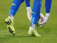 Devis Vasquez of Empoli FC is in action during the Serie A match between US Lecce and Empoli in Lecce, Italy, on November 8, 2024. (