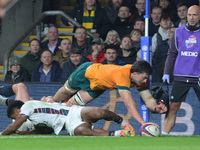 Australia's Jeremy Williams (Wahroonga Tigers) scores his try during the Autumn Nations Series between England and Australia (Wallabies) at...