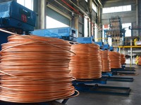 A worker of Yangfan Copper (Anhui) Co LTD works on a production line at the Yuexi County Economic Development Zone in Anqing, China, on Nove...