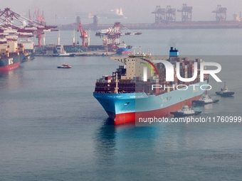 The Maersk Halifax, on the Central and South America route, berths at the Qianwan Container Terminal of Qingdao Port in Qingdao, Shandong Pr...