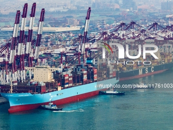 The Maersk Halifax, on the Central and South America route, berths at the Qianwan Container Terminal of Qingdao Port in Qingdao, Shandong Pr...