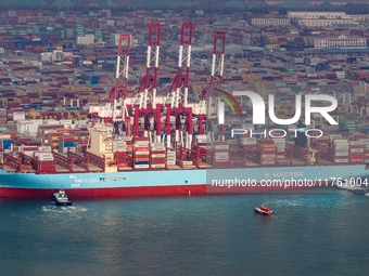 The Maersk Halifax, on the Central and South America route, berths at the Qianwan Container Terminal of Qingdao Port in Qingdao, Shandong Pr...