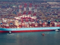 The Maersk Halifax, on the Central and South America route, berths at the Qianwan Container Terminal of Qingdao Port in Qingdao, Shandong Pr...