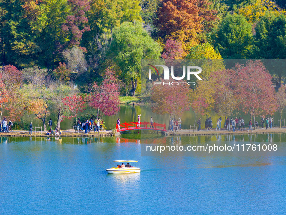 People enjoy the scenery on the Crescent embankment of Zhongshan Botanical Garden in Nanjing, China, on November 10, 2024. 