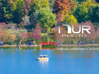 People enjoy the scenery on the Crescent embankment of Zhongshan Botanical Garden in Nanjing, China, on November 10, 2024. (