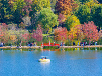 People enjoy the scenery on the Crescent embankment of Zhongshan Botanical Garden in Nanjing, China, on November 10, 2024. (