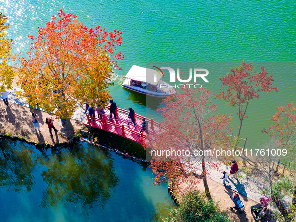 People enjoy the scenery on the Crescent embankment of Zhongshan Botanical Garden in Nanjing, China, on November 10, 2024. 