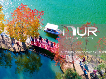 People enjoy the scenery on the Crescent embankment of Zhongshan Botanical Garden in Nanjing, China, on November 10, 2024. (