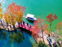 People enjoy the scenery on the Crescent embankment of Zhongshan Botanical Garden in Nanjing, China, on November 10, 2024. (