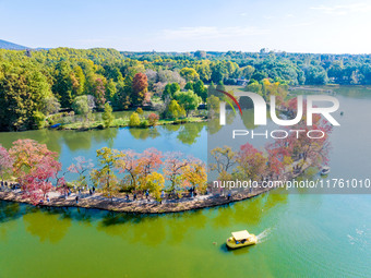 People enjoy the scenery on the Crescent embankment of Zhongshan Botanical Garden in Nanjing, China, on November 10, 2024. (