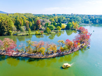 People enjoy the scenery on the Crescent embankment of Zhongshan Botanical Garden in Nanjing, China, on November 10, 2024. (