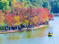 People enjoy the scenery on the Crescent embankment of Zhongshan Botanical Garden in Nanjing, China, on November 10, 2024. (