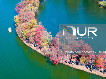 People enjoy the scenery on the Crescent embankment of Zhongshan Botanical Garden in Nanjing, China, on November 10, 2024. (