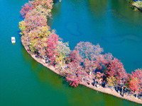 People enjoy the scenery on the Crescent embankment of Zhongshan Botanical Garden in Nanjing, China, on November 10, 2024. (