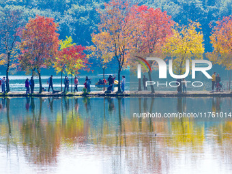 People enjoy the scenery on the Crescent embankment of Zhongshan Botanical Garden in Nanjing, China, on November 10, 2024. (