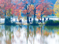 People enjoy the scenery on the Crescent embankment of Zhongshan Botanical Garden in Nanjing, China, on November 10, 2024. (