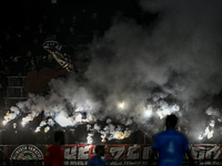 Fans of NEC with fireworks during the match RKC - NEC at the Mandemakers Stadium for the season 2024-2025 in Waalwijk, Netherlands, on Novem...