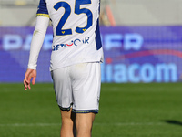 Suat Serdar of Hellas Verona FC celebrates with teammates after scoring  goal during  the Italian Serie A football match between ACF Fiorent...