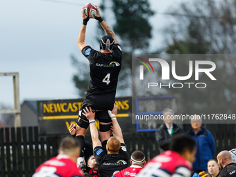 Sebastian de Chaves of Newcastle Falcons participates in a line-out during the Premiership Cup Pool A match between Newcastle Falcons and Do...