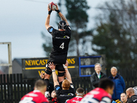 Sebastian de Chaves of Newcastle Falcons participates in a line-out during the Premiership Cup Pool A match between Newcastle Falcons and Do...