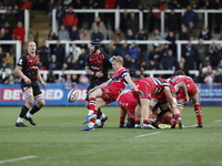 Ollie Fox of Doncaster Knights clears during the Premiership Cup Pool A match between Newcastle Falcons and Doncaster Knights at Kingston Pa...