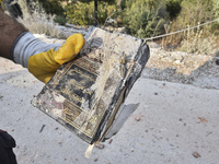 Rescuers search for survivors at the site of an Israeli airstrike that targets the village of Almat north of Beirut, Lebanon, on November 10...