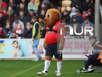 York City's mascot, Yorkie the Lion, appears during the Vanarama National League match between York City and Hartlepool United at LNER Commu...