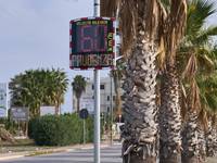 A solar-powered speed indicator installed along a palm-lined road aims to promote safe driving by monitoring and displaying vehicle speeds....