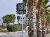 A solar-powered speed indicator installed along a palm-lined road aims to promote safe driving by monitoring and displaying vehicle speeds....