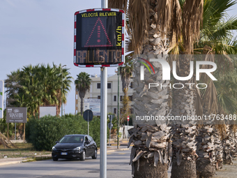 A solar-powered speed indicator installed along a palm-lined road aims to promote safe driving by monitoring and displaying vehicle speeds....