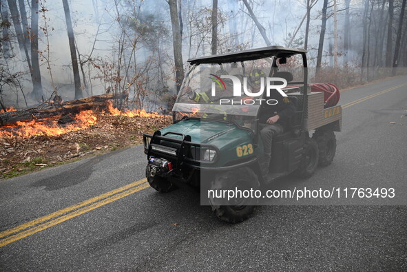 A wildfire impacts several forests in the area on Sunday morning in New York State as it is announced that a New York State parks employee w...