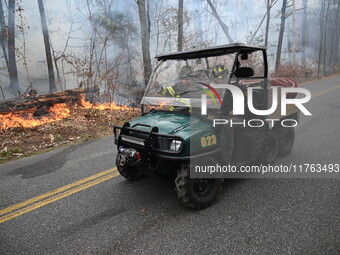 A wildfire impacts several forests in the area on Sunday morning in New York State as it is announced that a New York State parks employee w...